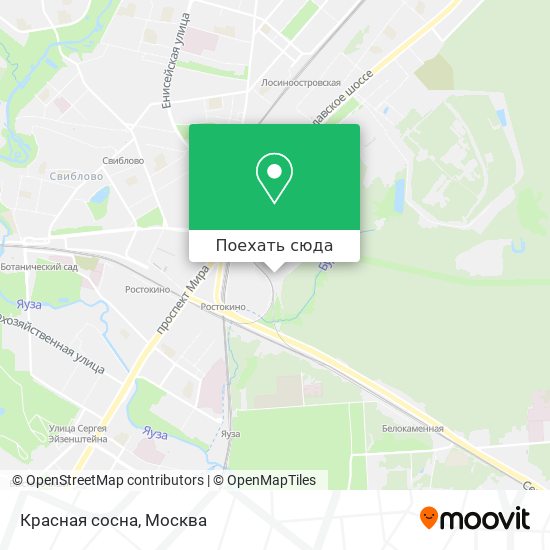 Карта Красная сосна