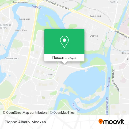 Карта Pioppo Albero