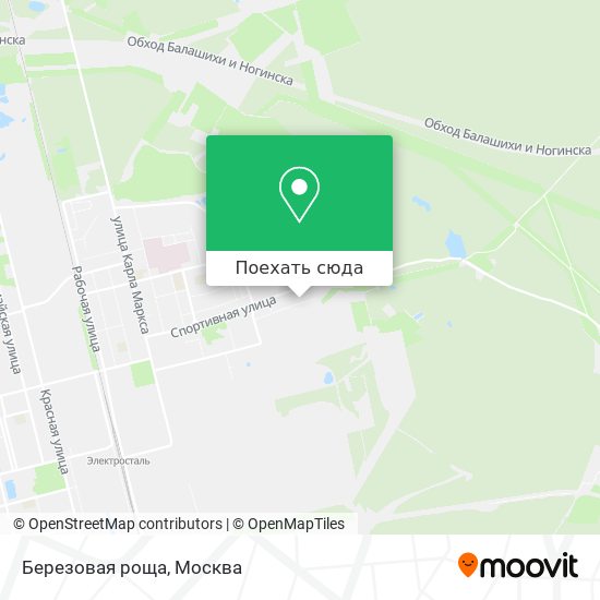 Карта Березовая роща