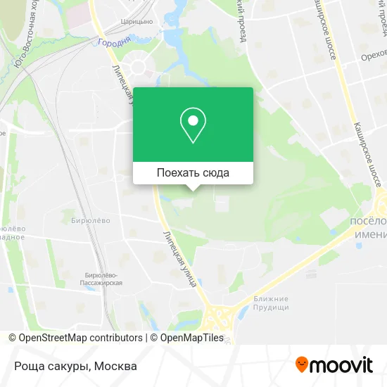 Карта Роща сакуры