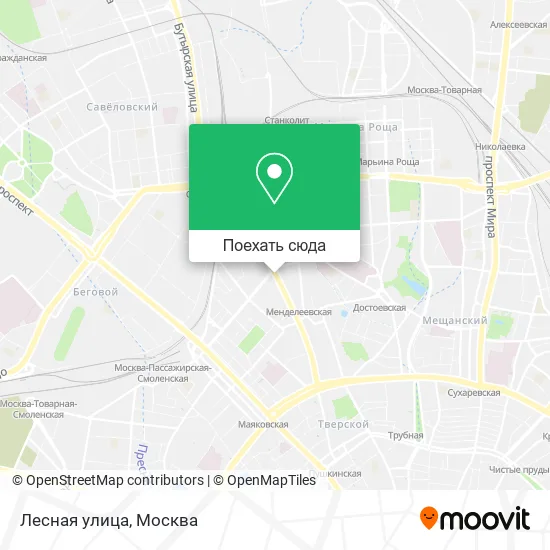 Карта Лесная улица