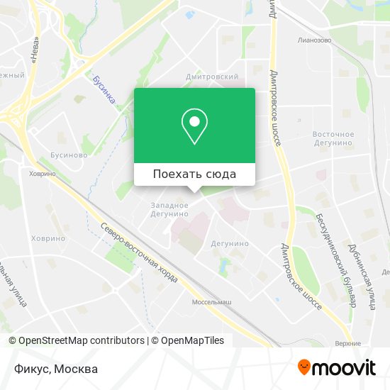 Карта Фикус