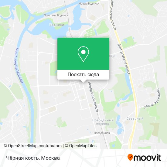 Карта Чёрная кость