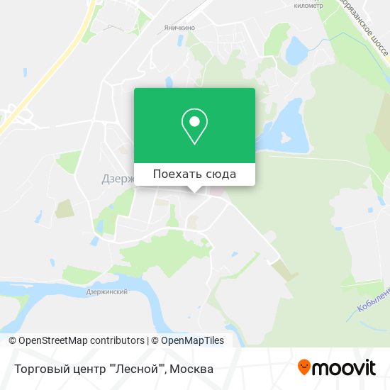 Карта Торговый центр ""Лесной""