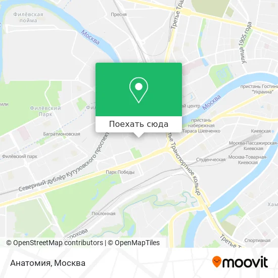 Карта Анатомия