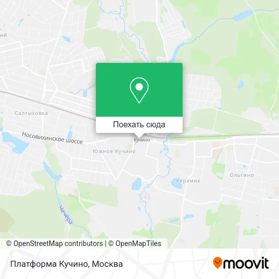 Карта Платформа Кучино
