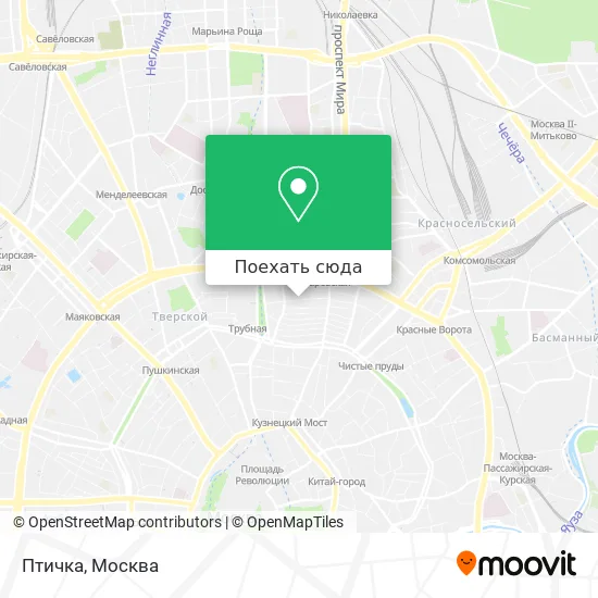 Карта Птичка