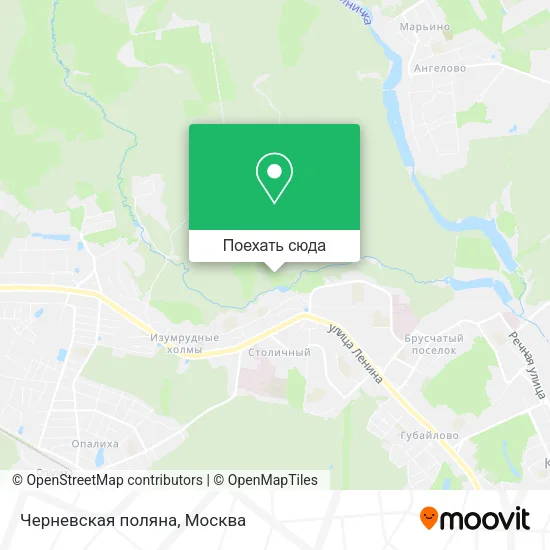 Карта Черневская поляна