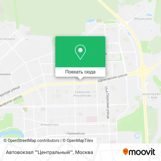 Карта Автовокзал ""Центральный""
