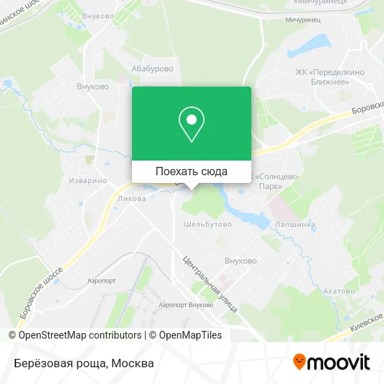 Карта Берёзовая роща