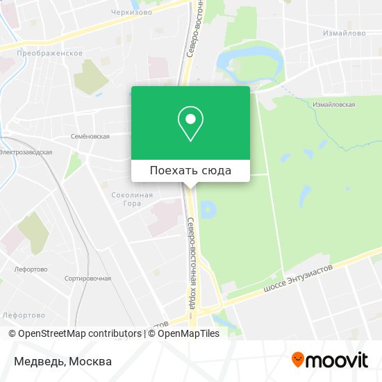 Карта Медведь