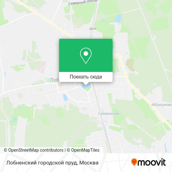 Карта Лобненский городской пруд
