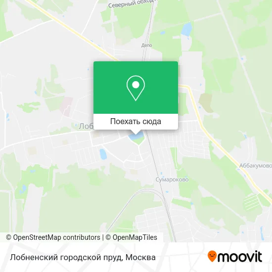 Карта Лобненский городской пруд