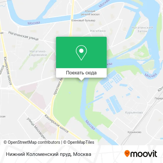 Карта Нижний Коломенский пруд