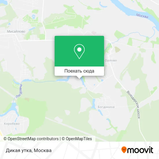 Карта Дикая утка