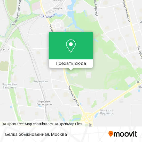 Карта Белка обыкновенная