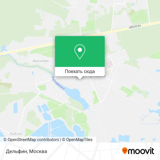 Карта Дельфин