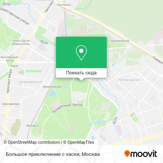 Карта Большое приключение с хаски