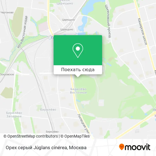 Карта Орех серый Júglans cinérea