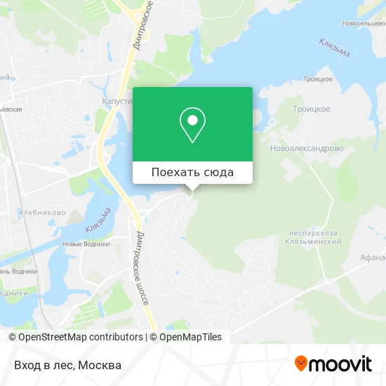 Карта Вход в лес