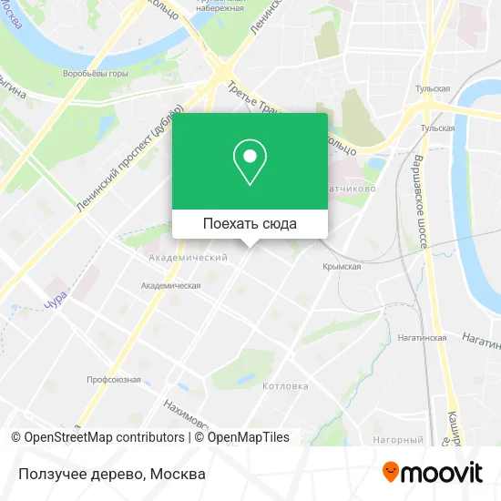 Карта Ползучее дерево