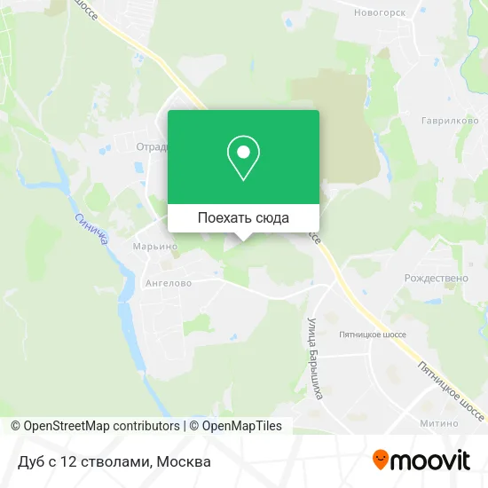 Карта Дуб с 12 стволами