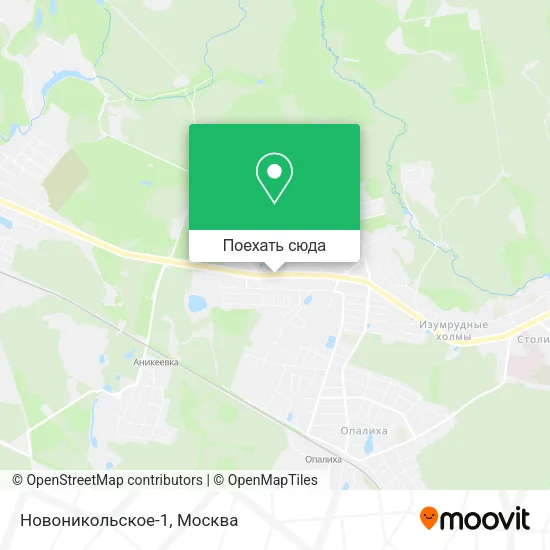 Карта Новоникольское-1