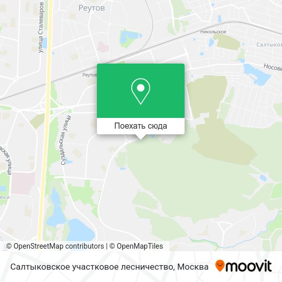 Карта Салтыковское участковое лесничество