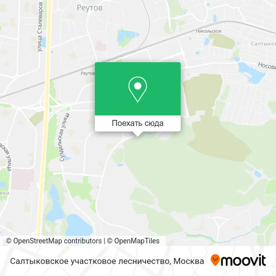 Карта Салтыковское участковое лесничество