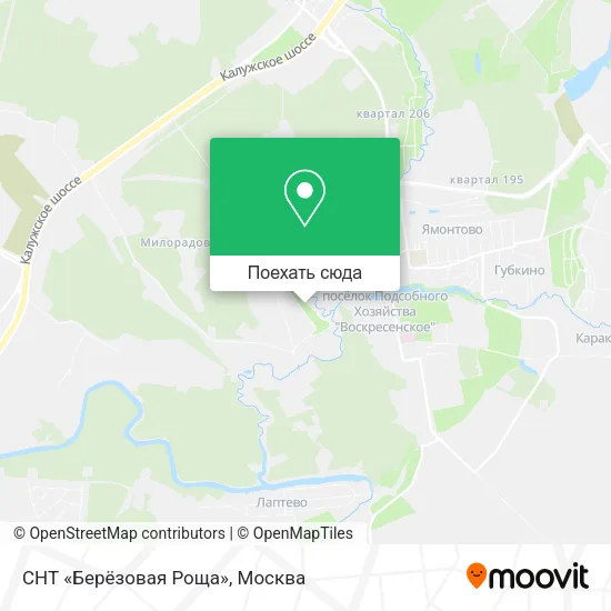 Карта СНТ «Берёзовая Роща»