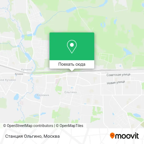 Карта Станция Ольгино