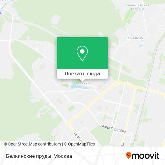 Карта Белкинские пруды