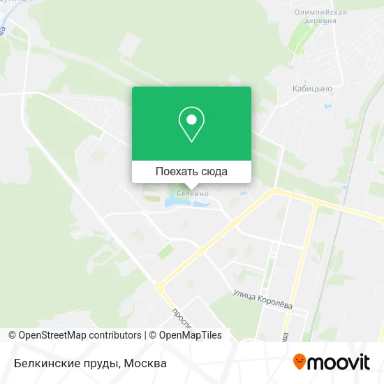 Карта Белкинские пруды