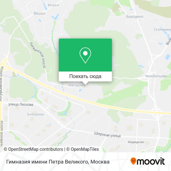 Карта Гимназия имени Петра Великого