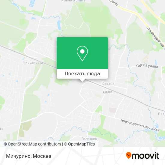 Карта Мичурино