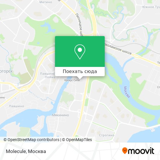 Карта Molecule