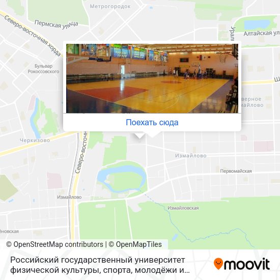 Карта Российский государственный университет физической культуры, спорта, молодёжи и туризма