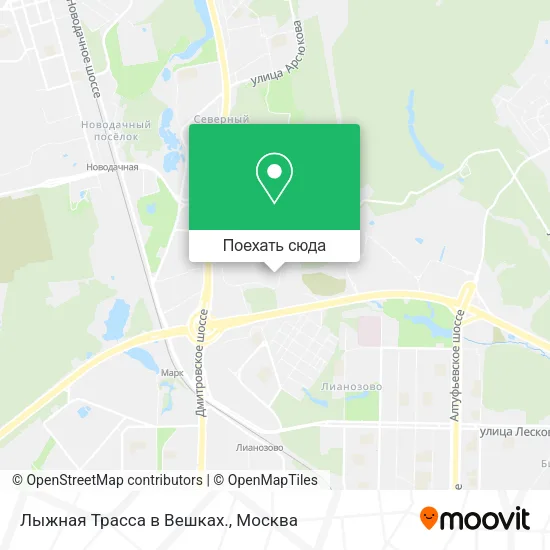 Карта Лыжная Трасса в Вешках.