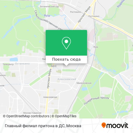 Карта Главный филиал притона в ДС