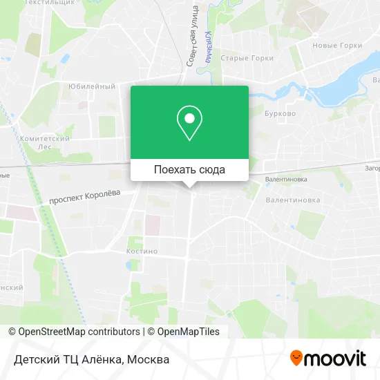 Карта Детский ТЦ  Алёнка