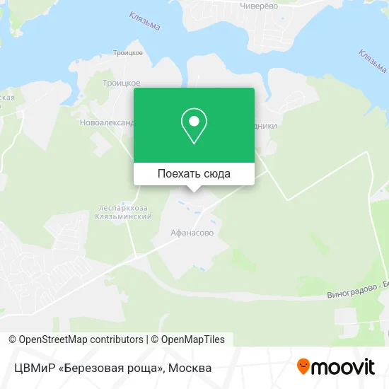 Карта ЦВМиР «Березовая роща»