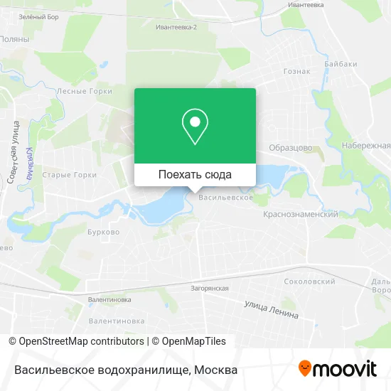 Карта Васильевское водохранилище