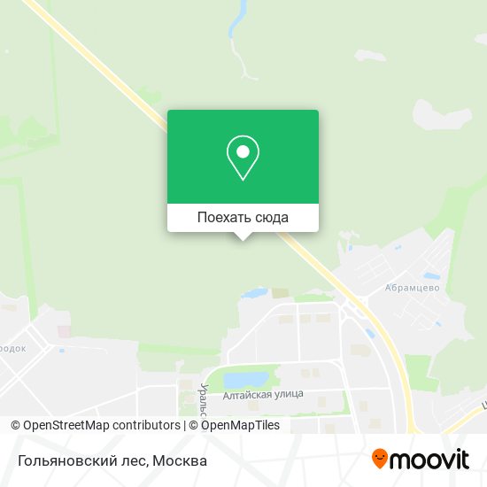 Карта Гольяновский лес