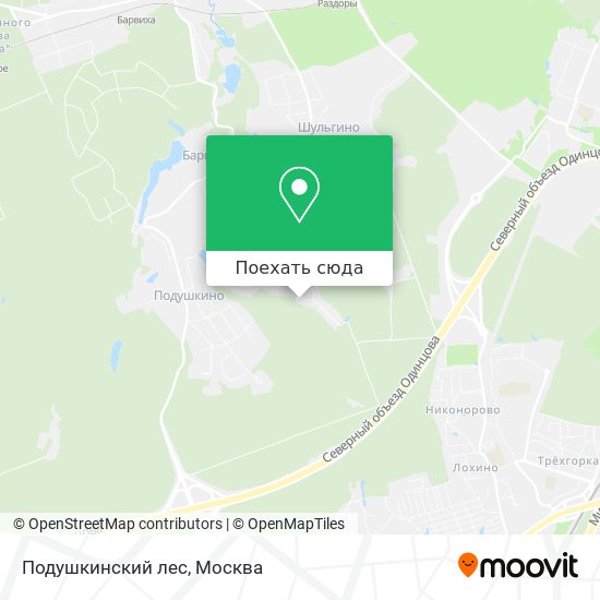 Карта Подушкинский лес