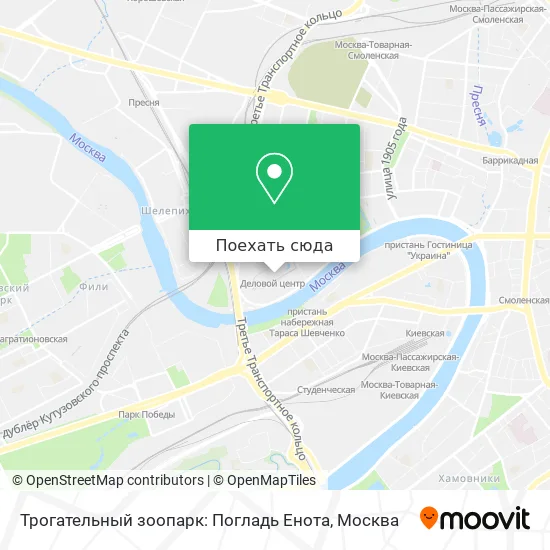 Карта Трогательный зоопарк: Погладь Енота