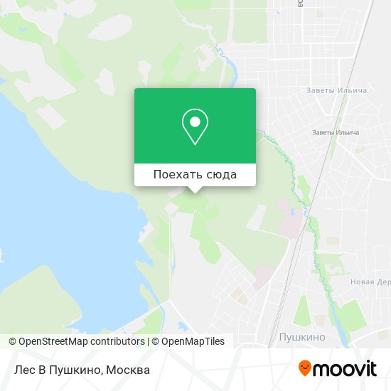 Карта Лес В Пушкино