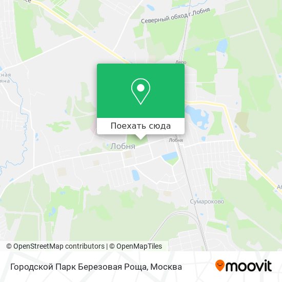 Карта Городской Парк  Березовая Роща