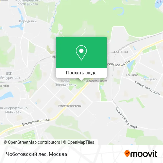 Карта Чоботовский лес