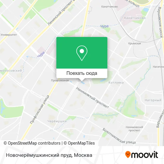 Карта Новочерёмушкинский пруд