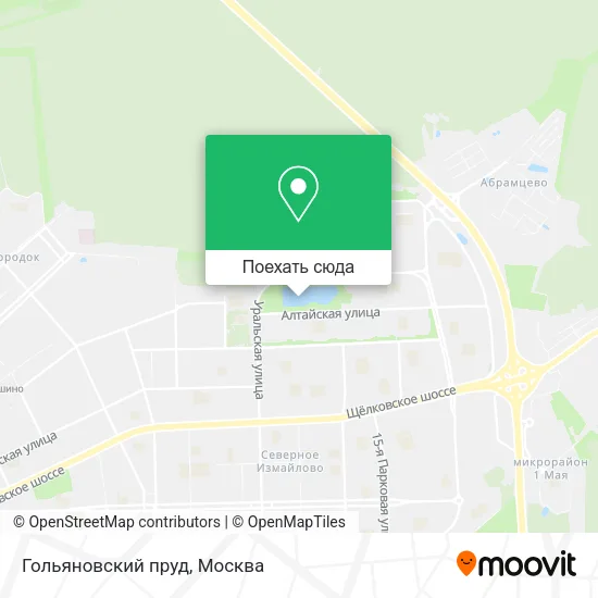Карта Гольяновский пруд